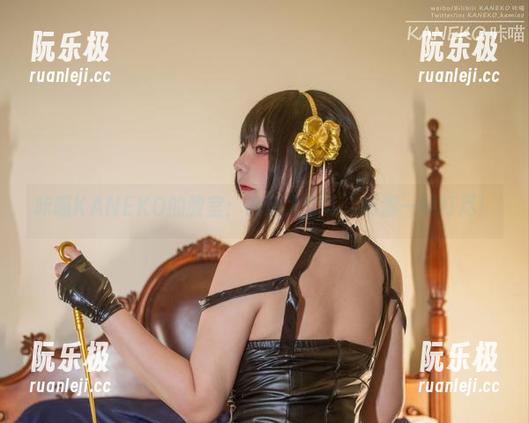 咔喵KANEKO的教室：高清大乱斗，资源一网打尽！